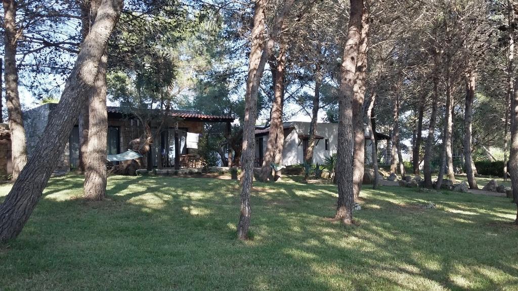 Tenuta Terenzano Torre San Giovanni Exterior foto